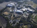 日本動物園兩頭獅子因感染新冠死亡 疑似被飼養員傳染