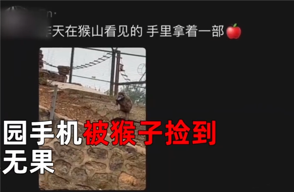 猴子撿走游客蘋果手機還接了電話 iPhone丟失這么做能看定位  猴子 游客 蘋果 手機 iPhone 第2張